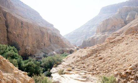 Sermon on the Korizim Plateau